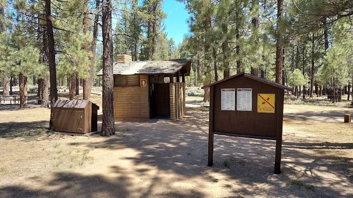 Holcomb Valley Campground Picture 9