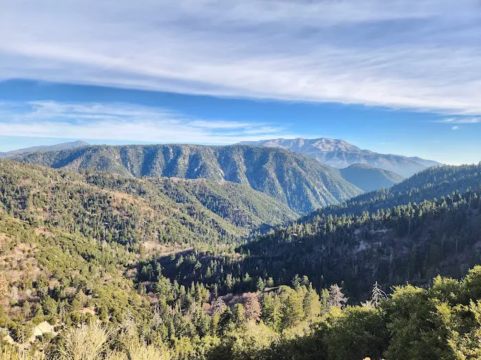 San Bernardino National Forest Serrano Campground Picture 4