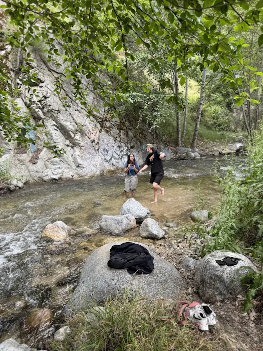 San Bernardino National Forest Serrano Campground Picture 9