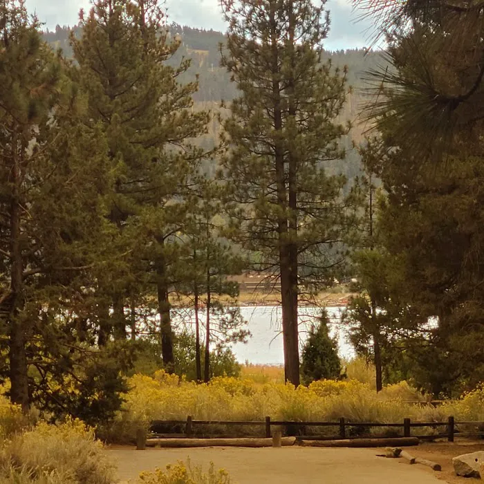 San Bernardino National Forest Serrano Campground Picture 7
