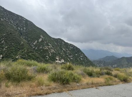 San Bernardino National Forest Serrano Campground