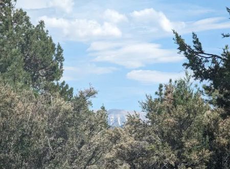 Tanglewood Group Campground