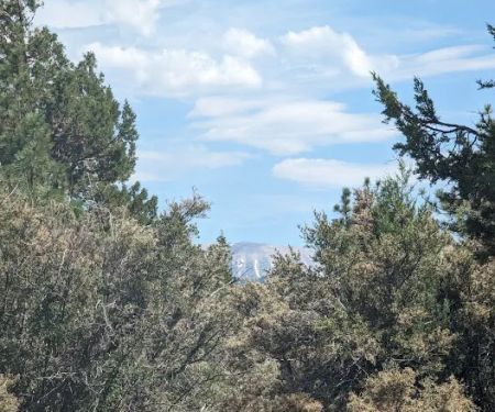 Tanglewood Group Campground
