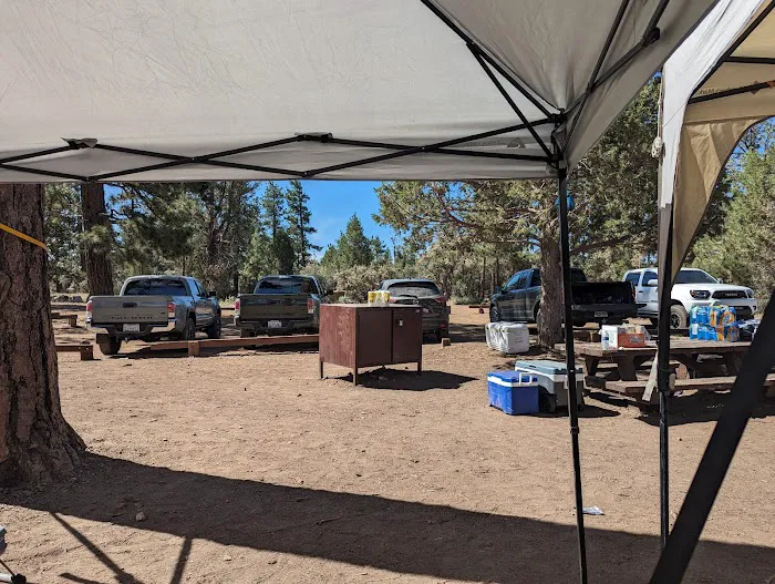 Tanglewood Group Campground Picture 2
