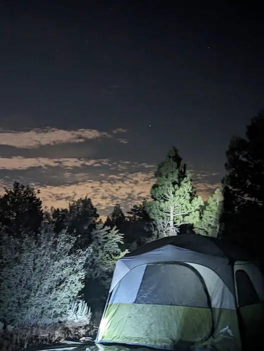 Tanglewood Group Campground Picture 4