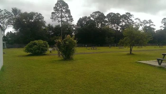 Okefenokee RV Park Picture 6