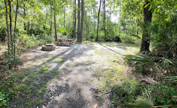 Okefenokee Pastimes Cabins and Campground Picture 1