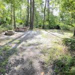 Okefenokee Pastimes Cabins and Campground