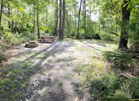 Okefenokee Pastimes Cabins and Campground