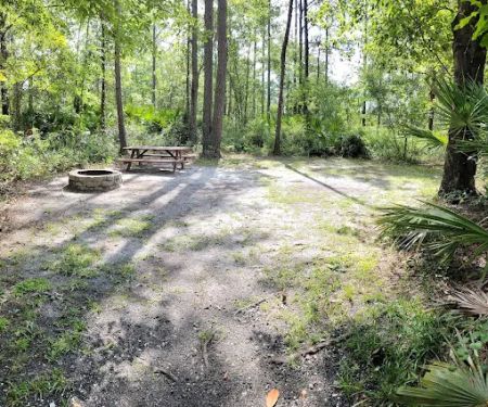 Okefenokee Pastimes Cabins and Campground