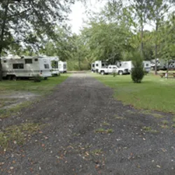 Okefenokee Pastimes Cabins and Campground Picture 4