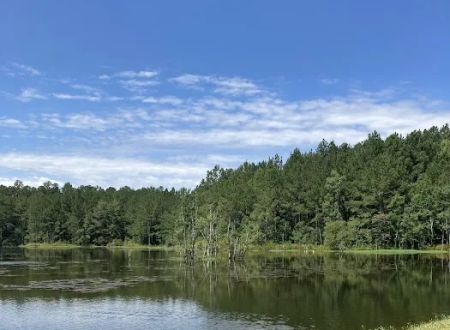 Hattiesburg / Okatoma River KOA