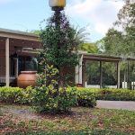 The Forest Club Inc