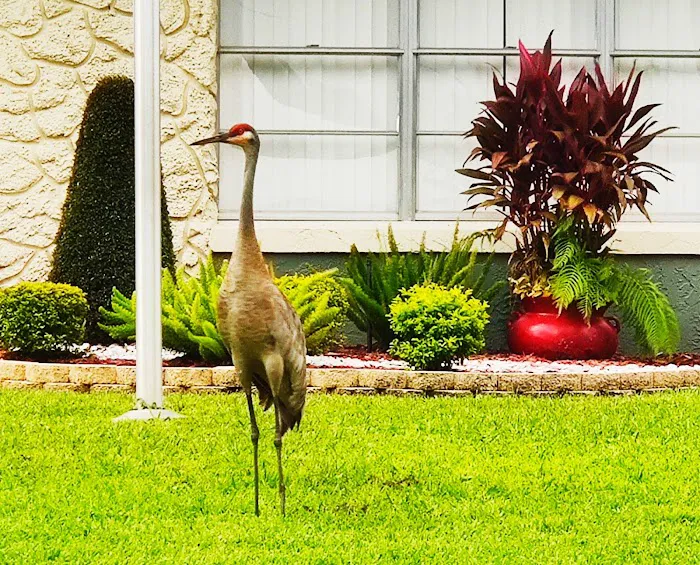 Audubon Village Picture 6