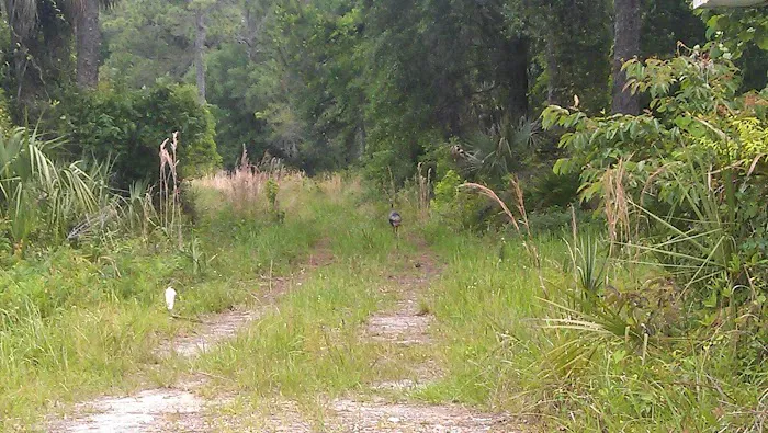 CHIEF ARIPEKA TRAVEL PARK Picture 1