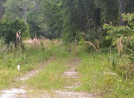 CHIEF ARIPEKA TRAVEL PARK
