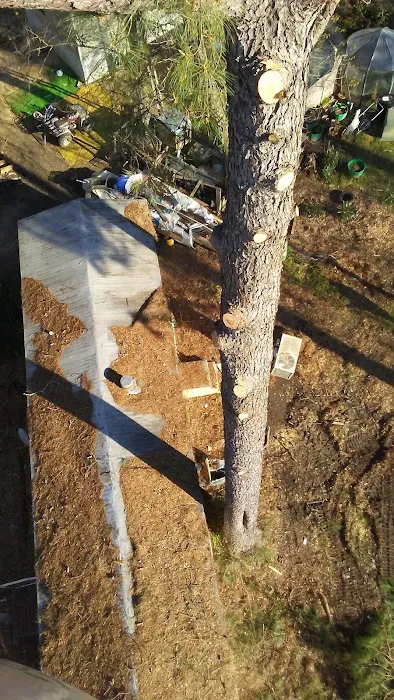 Forestry Department Jones Work Center Picture 9