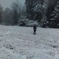 Forestry Department Jones Work Center ico