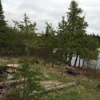 Superior National Forest Campsite #553 ico
