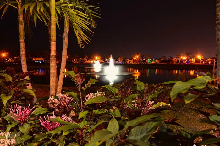 Silver Palms RV Resort Picture 4