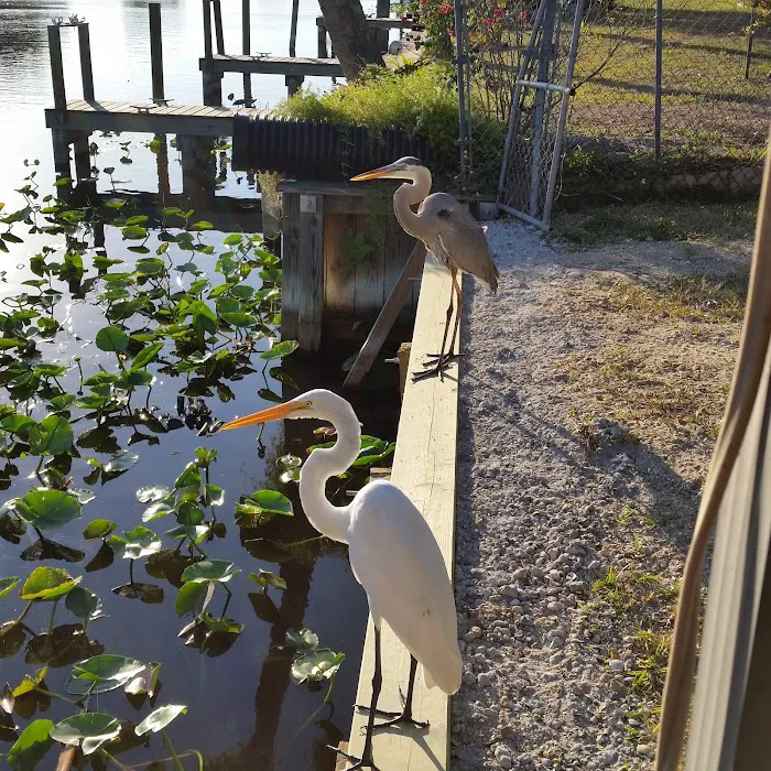 Lakeside RV Park Picture 3
