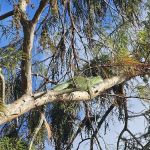 Butch's Fishcamp & RV Park