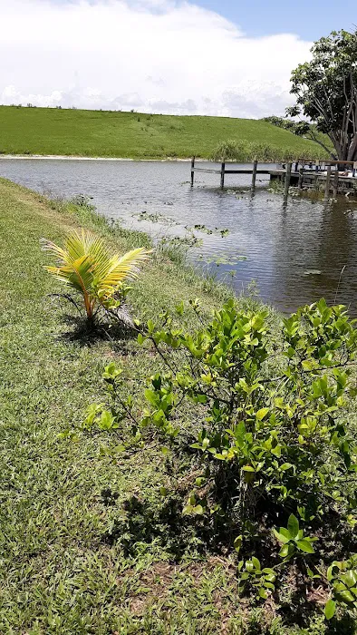Butch's Fishcamp & RV Park Picture 6