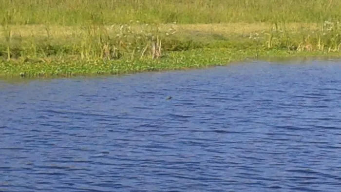 Grassy Waters Rv Park Picture 3