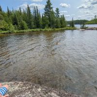 BWCA Campsite #469 ico