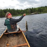 BWCA Campsite #366 ico