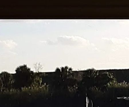 Gator RV Park