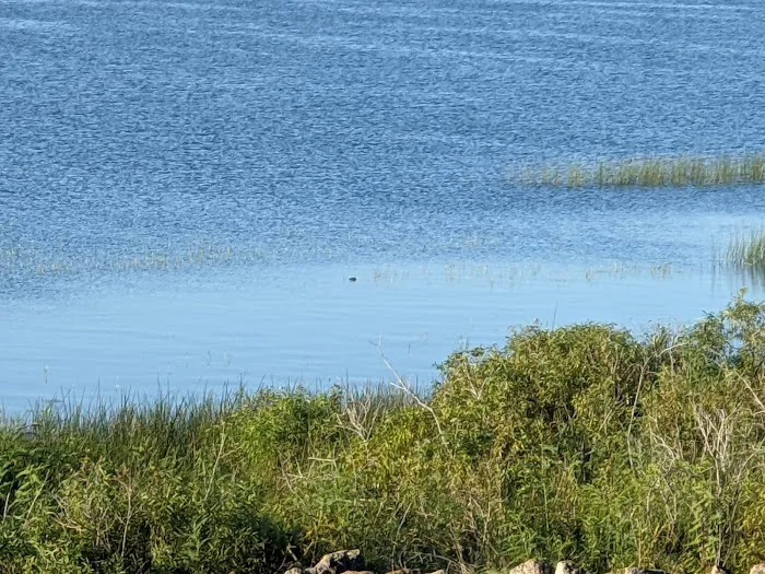 Gator RV Park Picture 10
