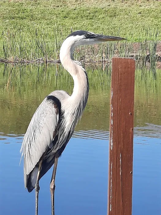 Water's Edge RV Park Picture 6