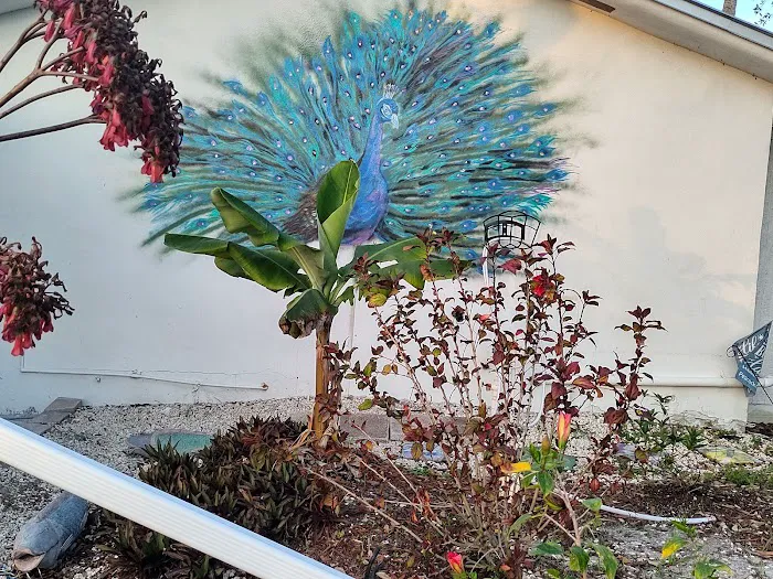 Peacock Cove Picture 3