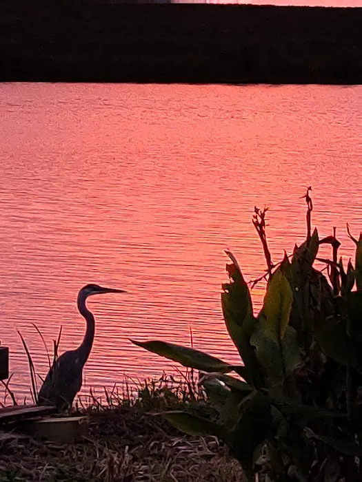 Peacock Cove Picture 4