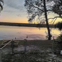 Peacock Cove ico