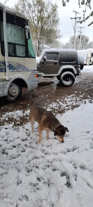 Shandy's Lakeside RV Park Picture 4