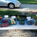 Shandy's Lakeside RV Park