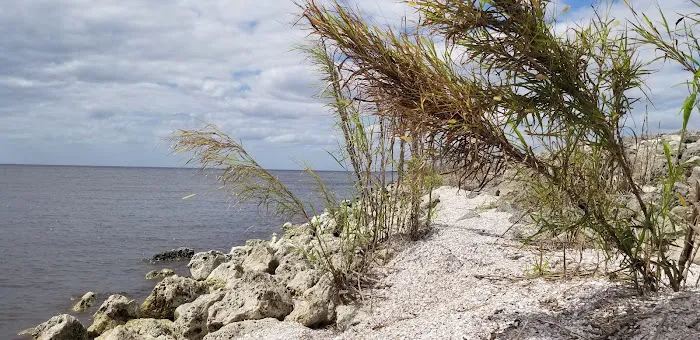 Okeechobee Lake RV Park Picture 7