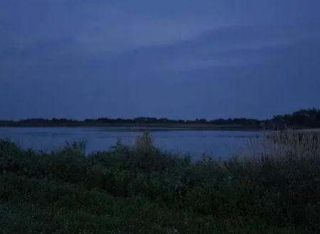 Willard Meyer Lake