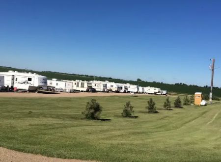 Camping - Pheasant farm