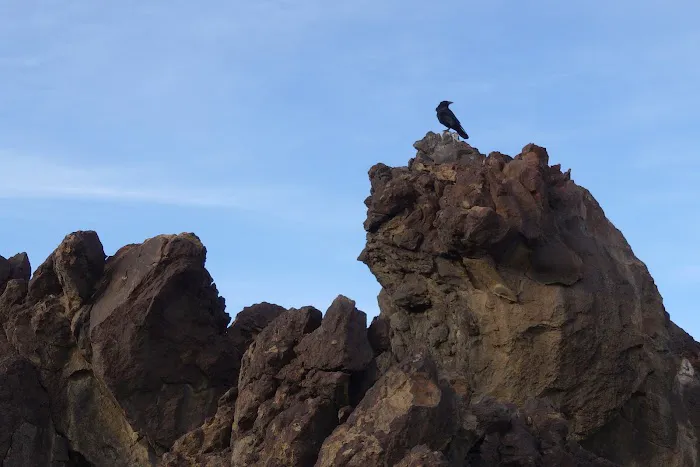 Fossil Falls Campgrounds Recreation Site Picture 4