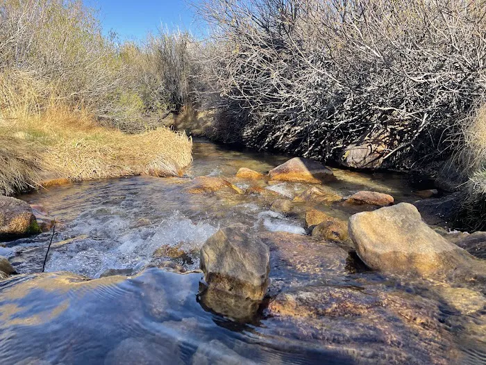 Tuttle Creek Campground Picture 8