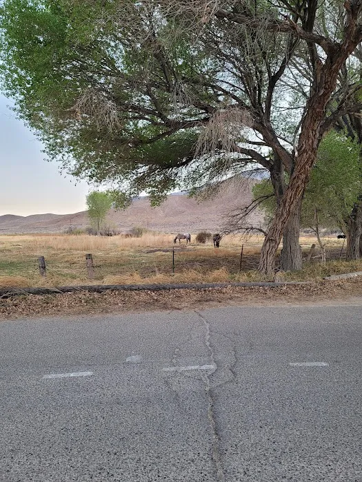 Diaz Lake Campground Picture 3