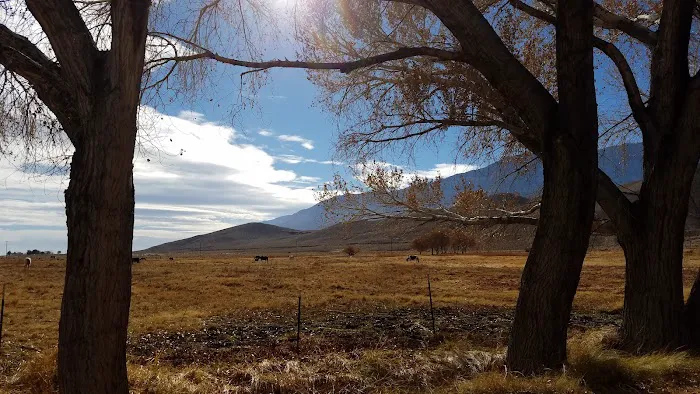 Diaz Lake Campground Picture 4