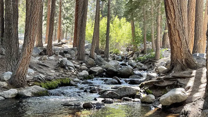 Whitney Portal Campground Picture 6