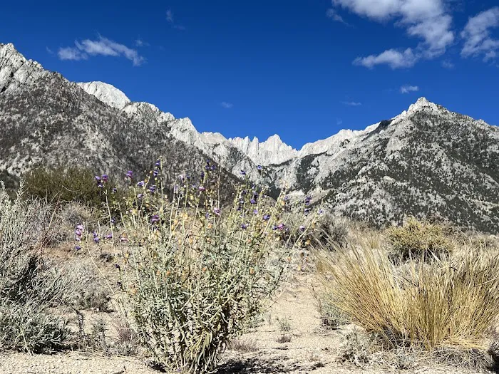 Lone Pine Campground Picture 5