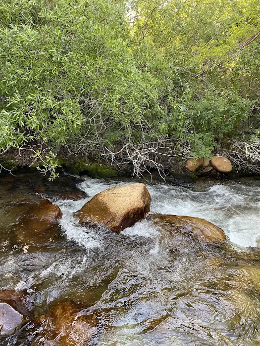 Lone Pine Campground Picture 10