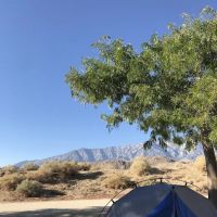 Portuguese Joe Campground ico