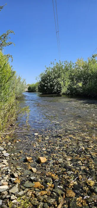 Tinnemaha Creek Campground Picture 6